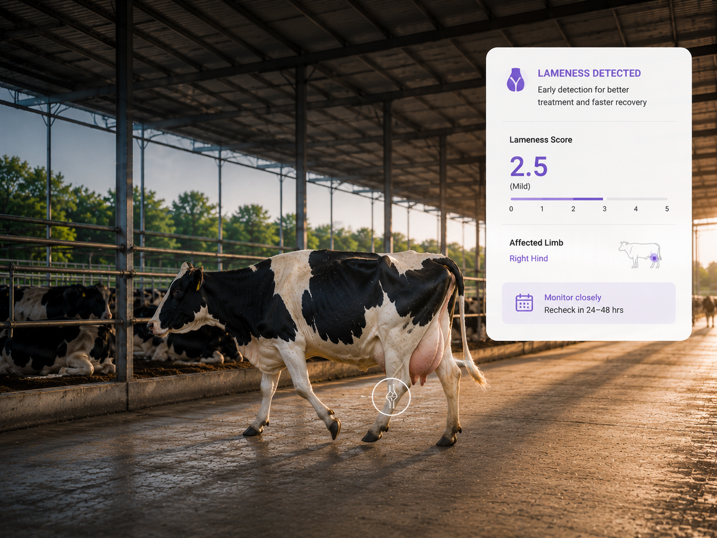 Lameness Scoring