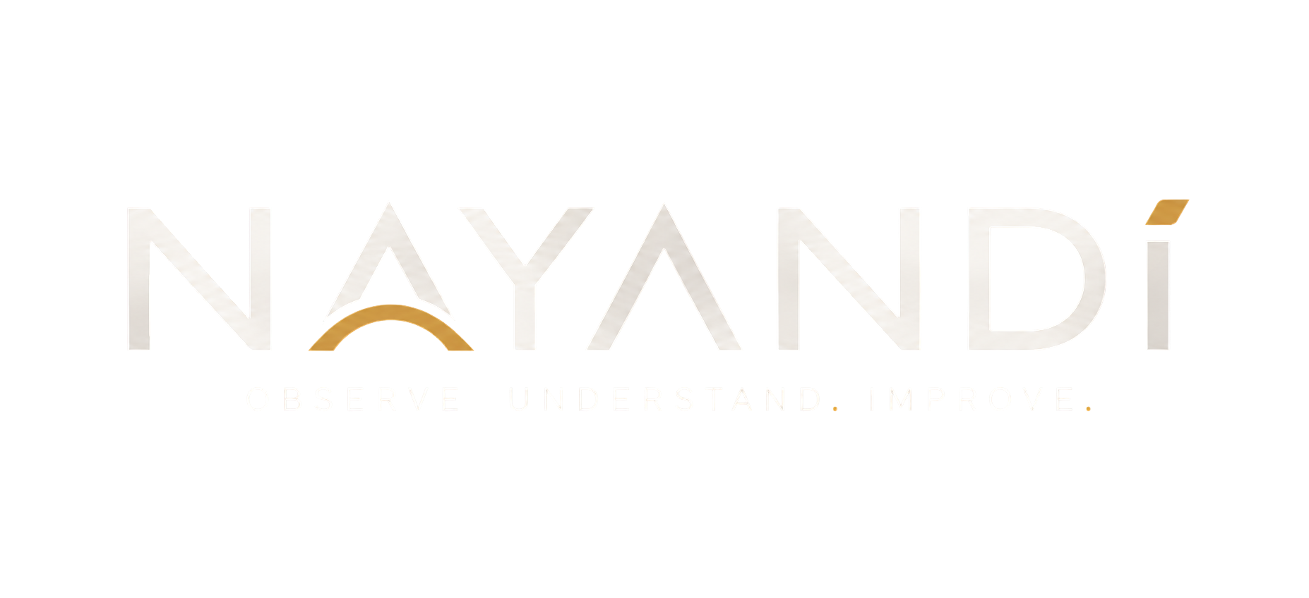 Nayandi AI